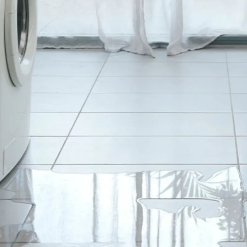 Appliance Leak Cleanup in Grandville, MI
